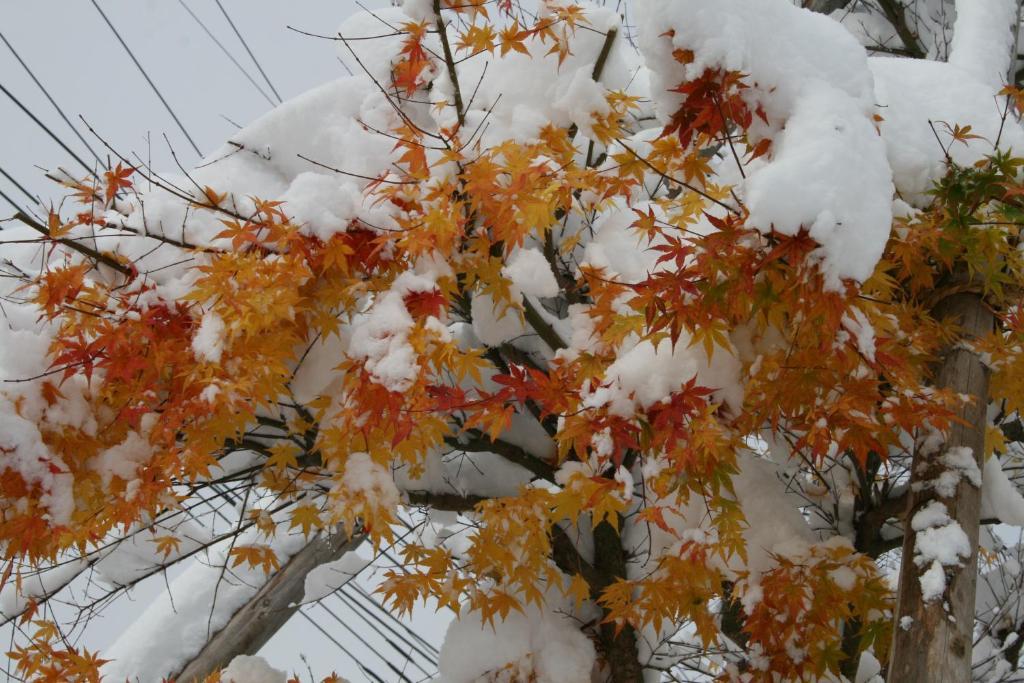Akakura Wakui Hotel Myoko Bagian luar foto